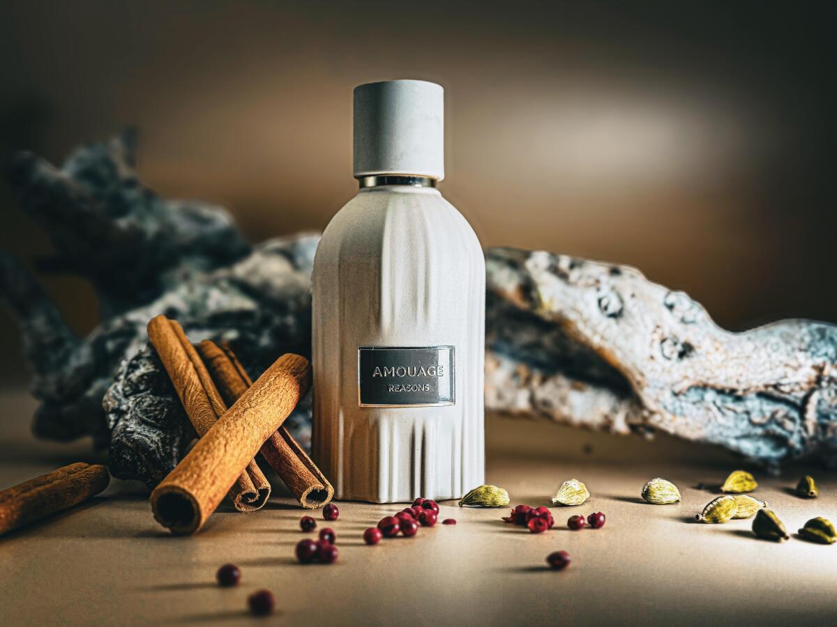 Amouage Guidance 46 Lineage Ou - Perfume Fragrance Deluxe reseña y precio